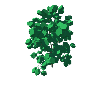 bigLeavesShrubs Variant